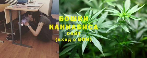 бошки Верея