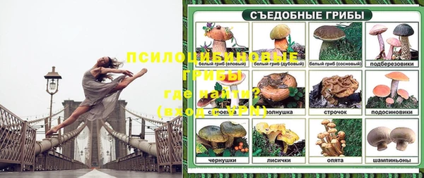 MESCALINE Богородск