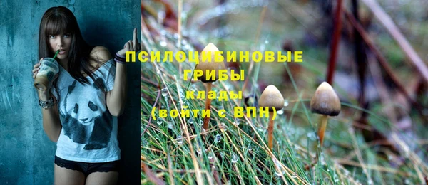 МДМА Белокуриха